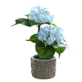 PY-28BLUE