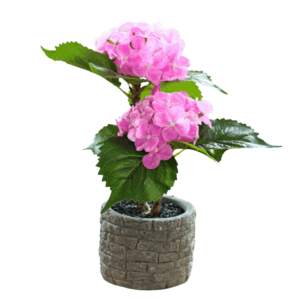 Artificial Hydrangea Flower With Cement Pot (29cm)