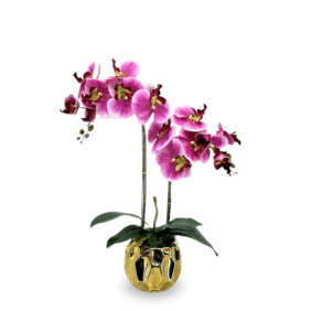 ofs03purple_79ea1df0-b58d-40ed-b386-e727422bf80a