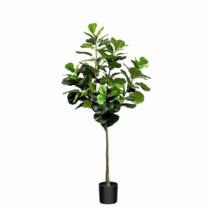 Artificial Fiddle Fig Plant (170cm)
