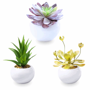 Artificial small succulent in Ceramic Pot