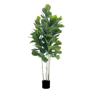 Artificial Fiddle Fig (4 stems) 170cm