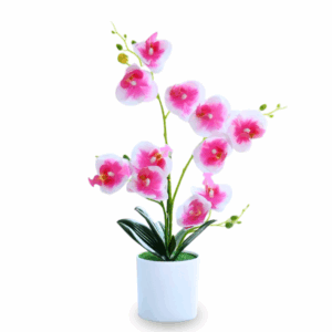 Artificial Orchid in White Plastic Pot - Pink/White/Purple (40cm)