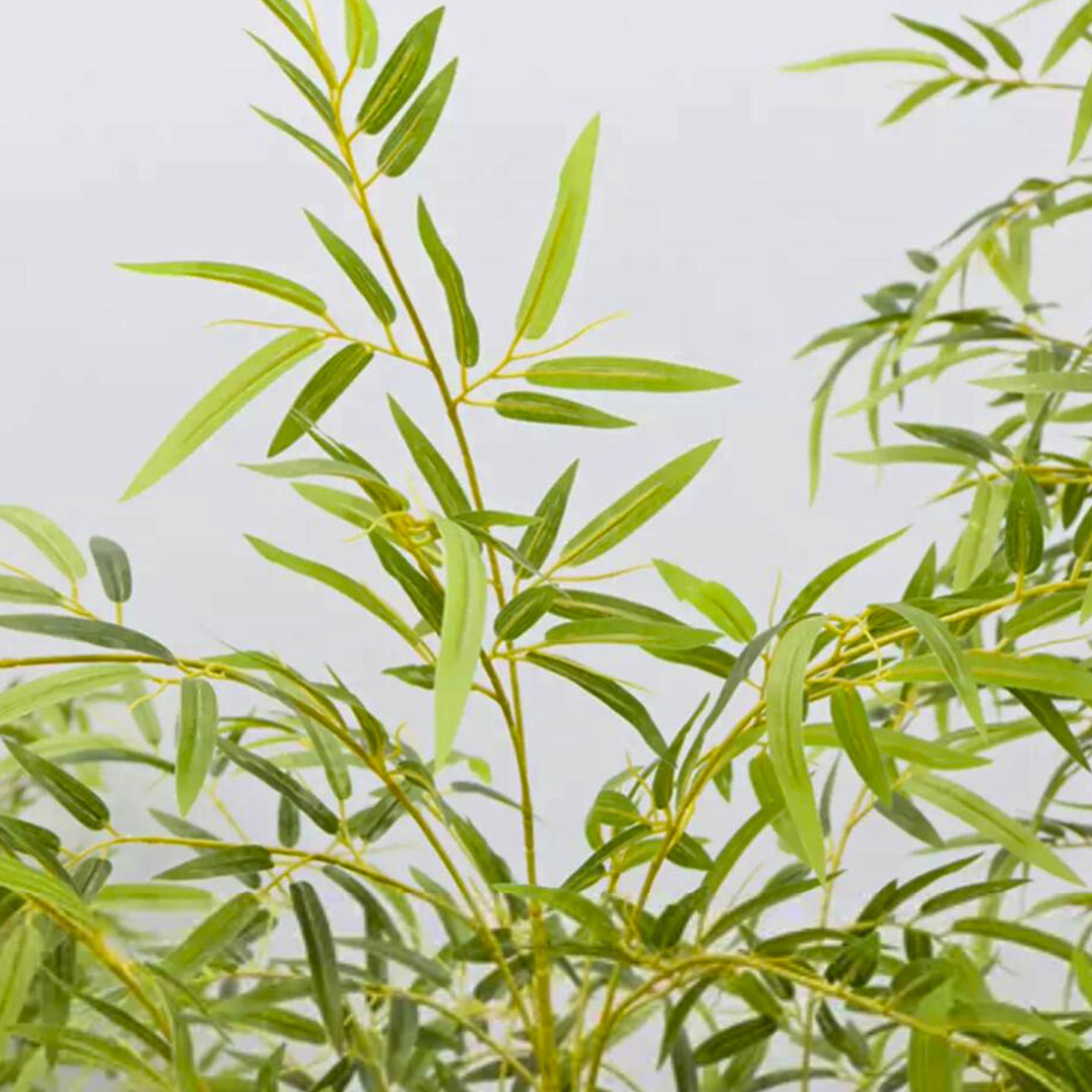 Artificial Bamboo Plant 180cm tall - Image 3