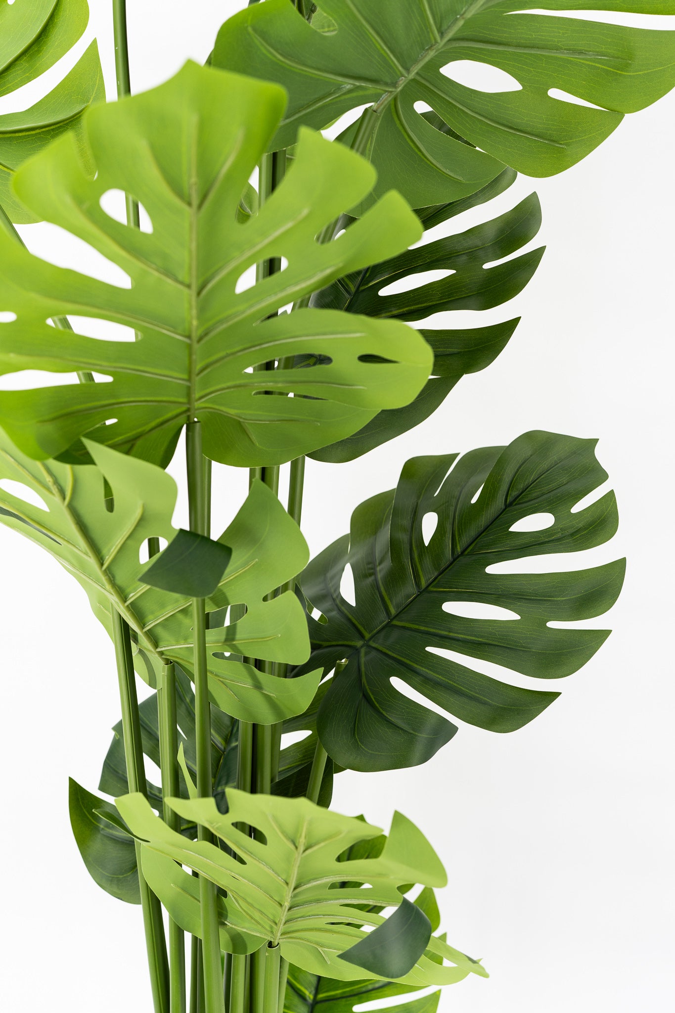 Artificial Monstera Tree 180cm Tall - Image 2