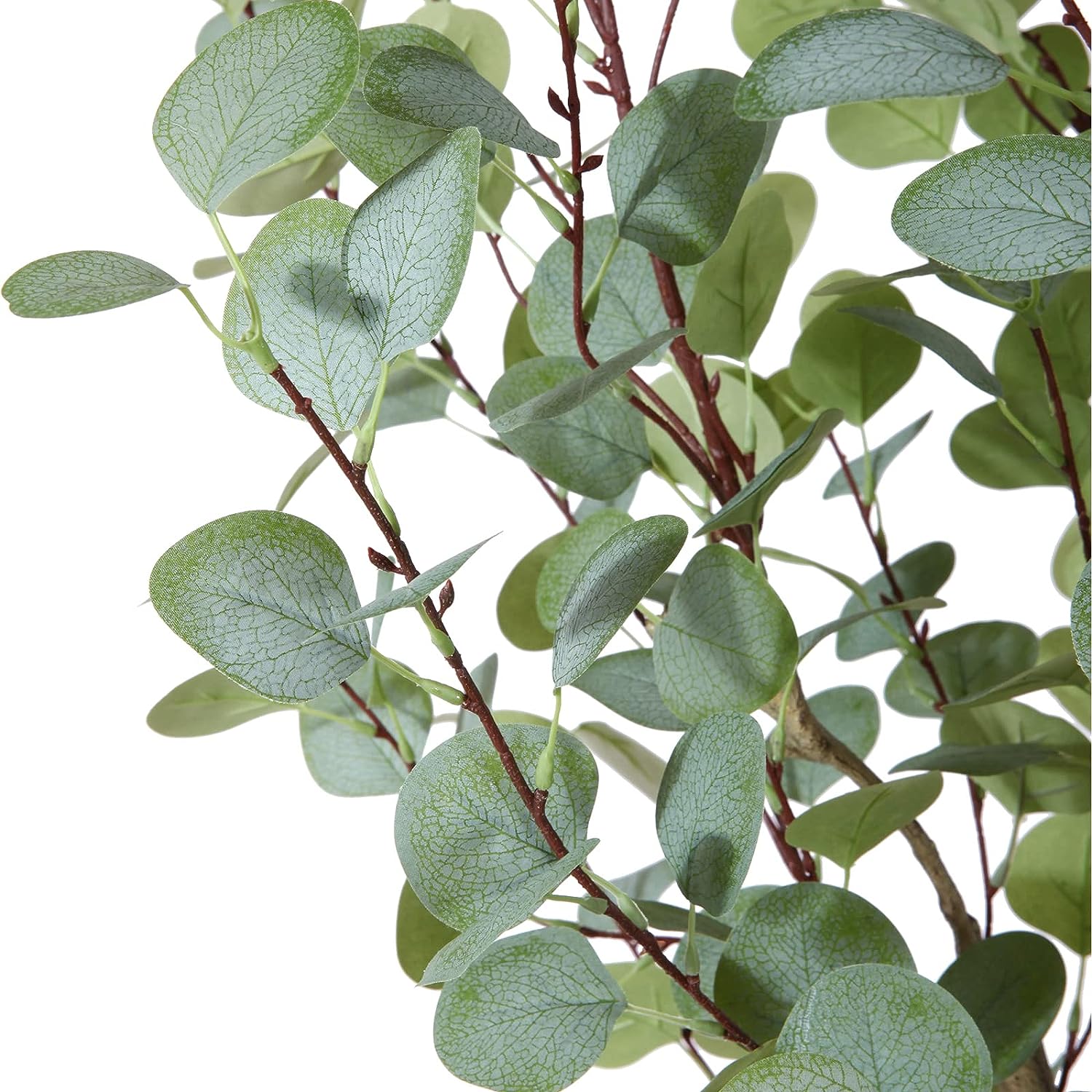 Artificial Eucalyptus Plant (120cm/155cm) - Image 5