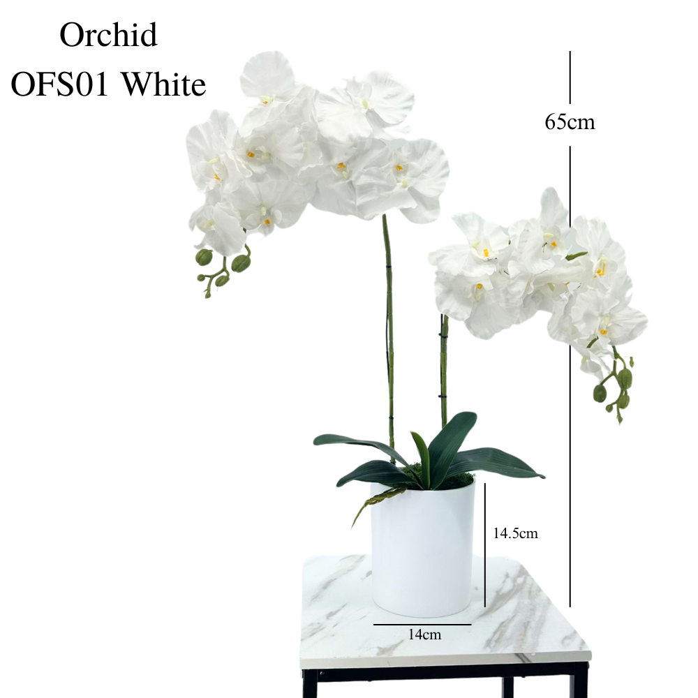 Artificial White Orchid in White Plastic Pot (65cm) - Image 2