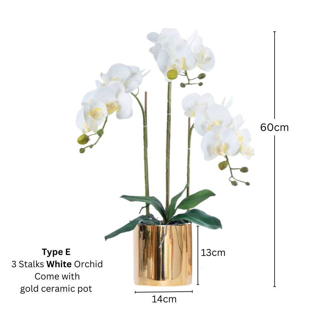 Artificial White Orchid (3/4 stalks) in Ceramic Gold Pot - (60cm) - Image 6