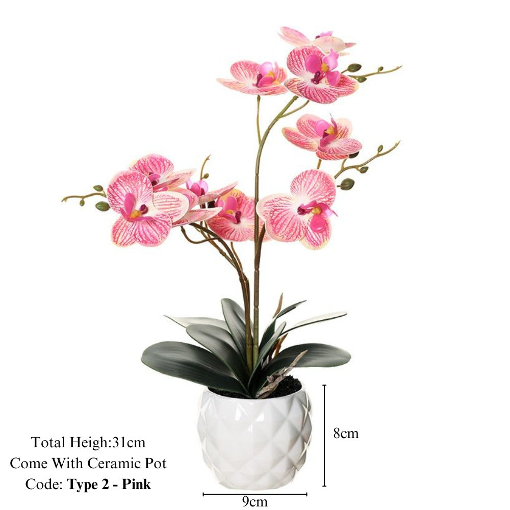 Orchid in Pot - Ceramic White Pot (31cm) - Image 6