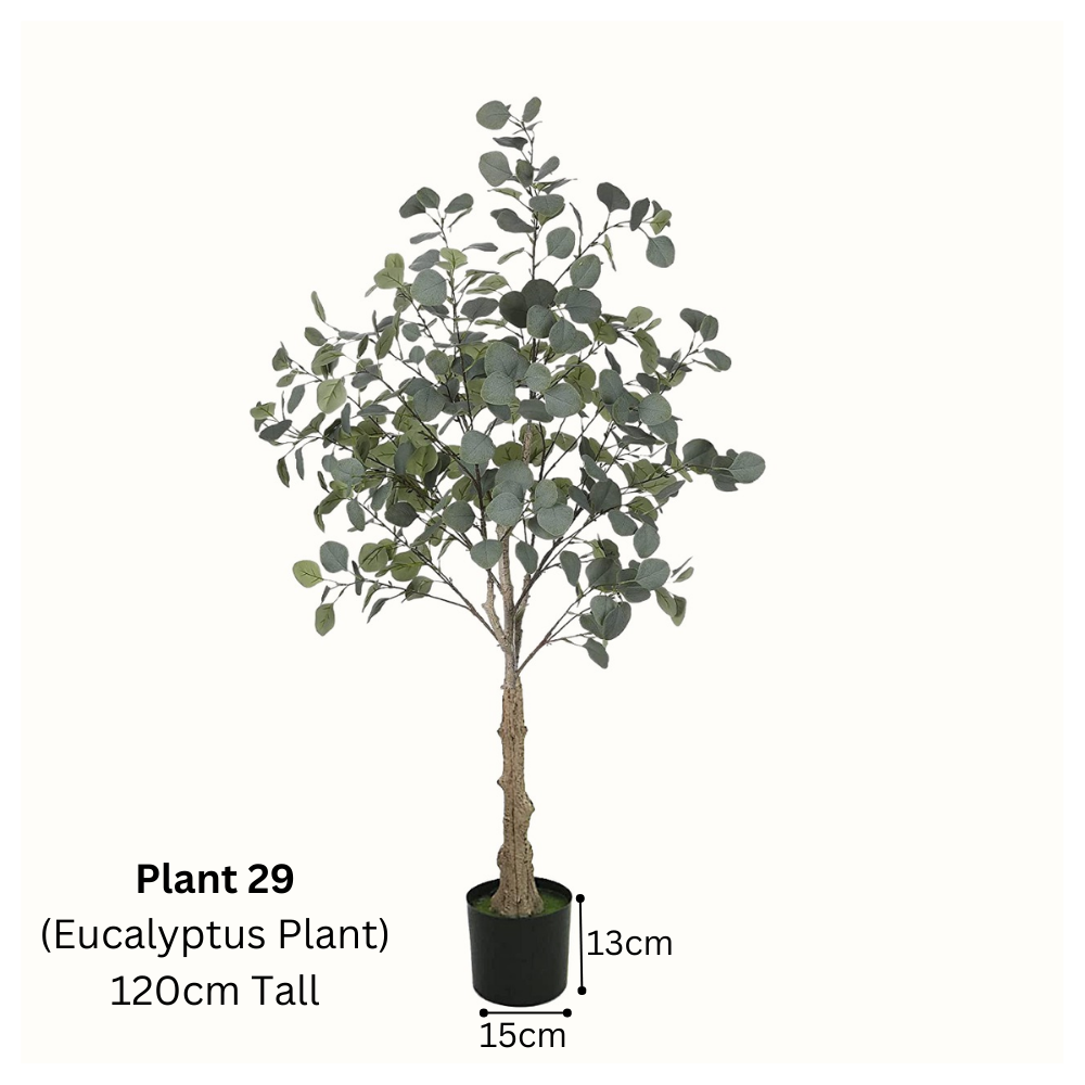 Artificial Eucalyptus Plant (120cm/155cm) - Image 3