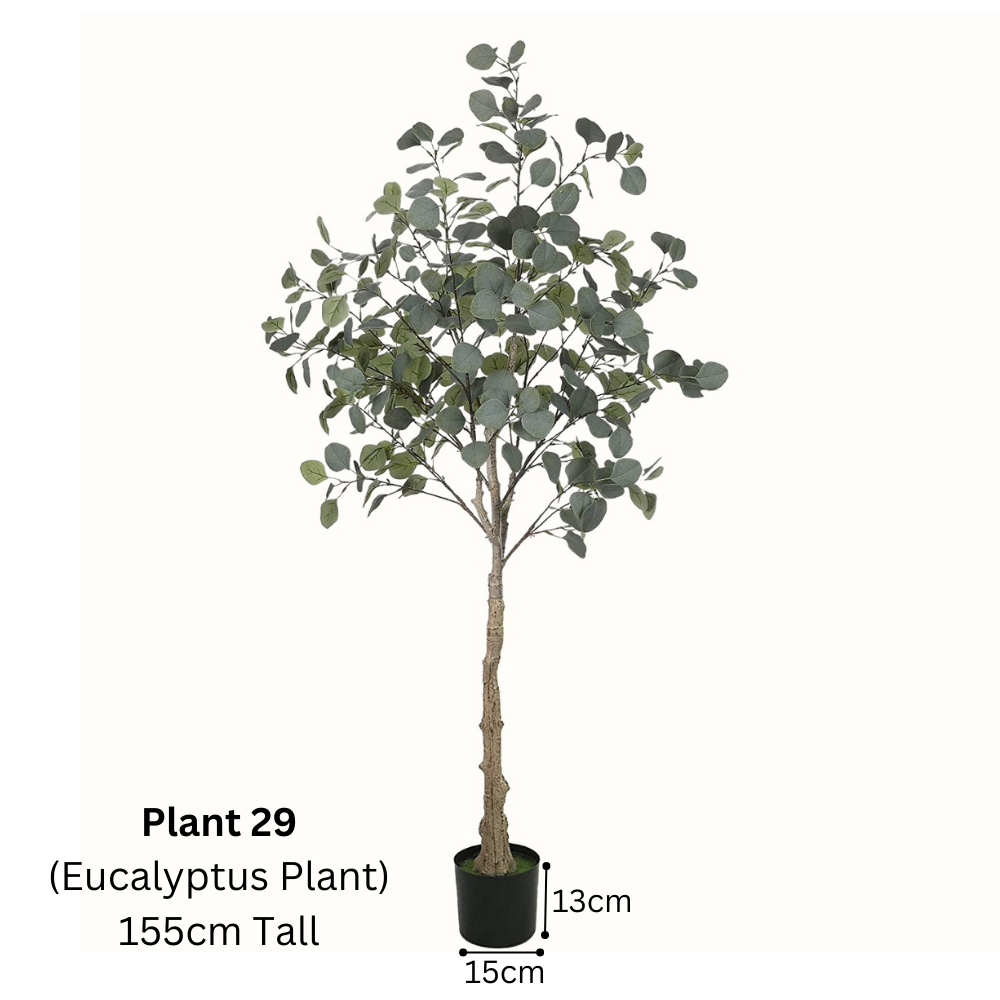 Artificial Eucalyptus Plant (120cm/155cm) - Image 2