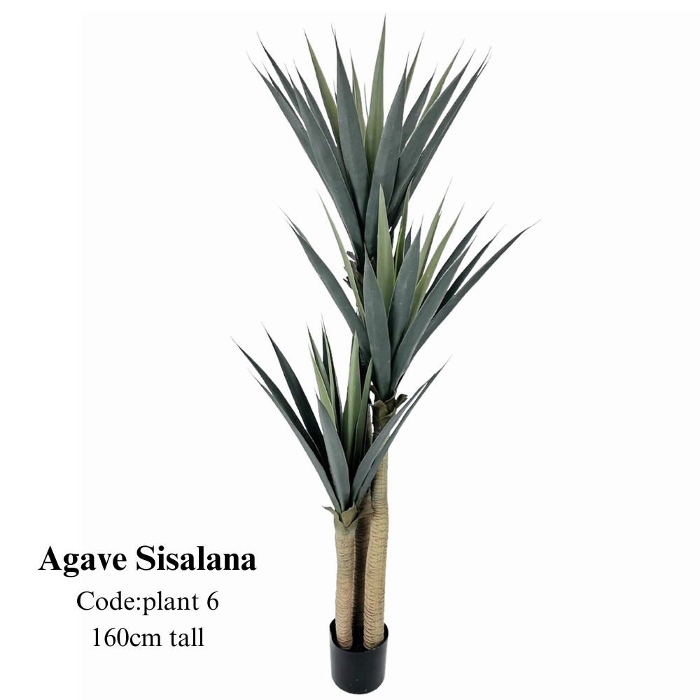 Artificial Agave Sisalana 160cm Tall - Image 2