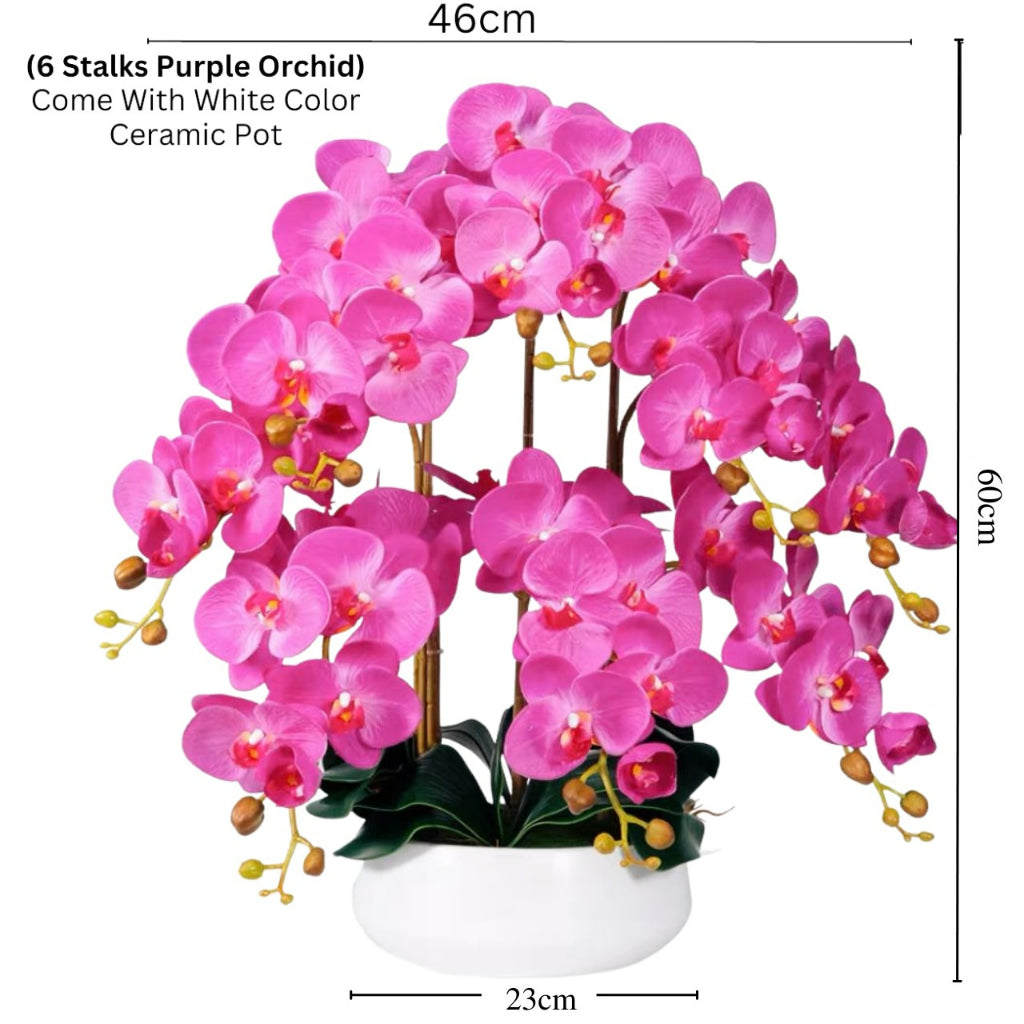 Orchid in Ceramic Pot - White (60cm) - Image 3