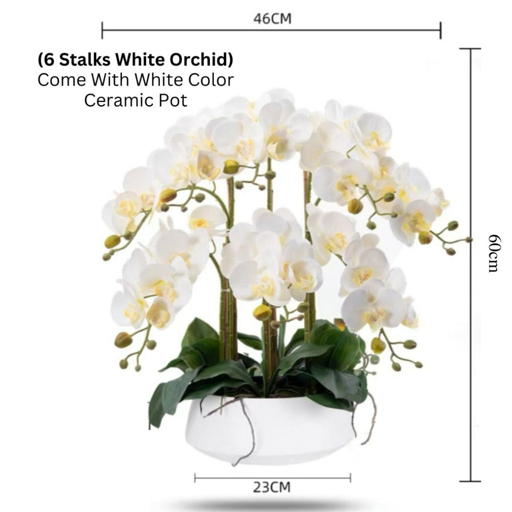 Orchid in Ceramic Pot - White (60cm) - Image 4