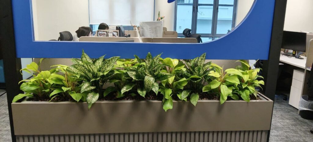 Live planter box arrangement at Bukit Pasoh Office 03