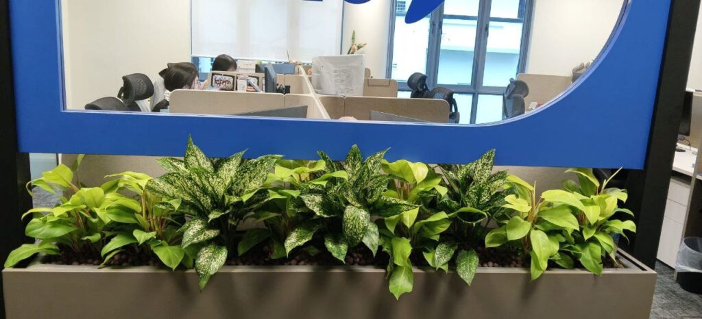Live planter box arrangement at Bukit Pasoh Office 04
