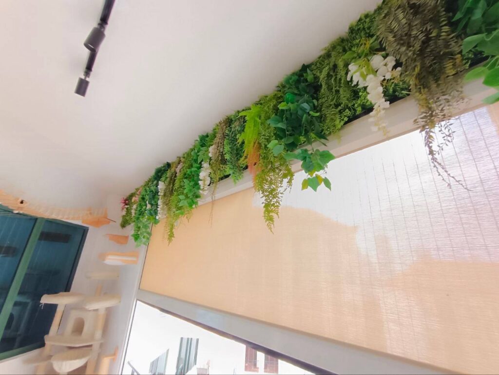 Tanjung Rhu Road hanging plant 03
