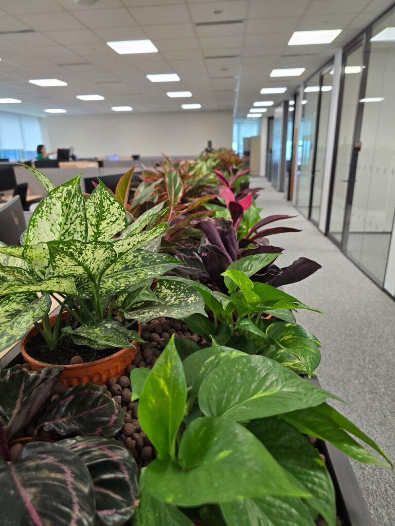 IOI Central Office 花箱 01
