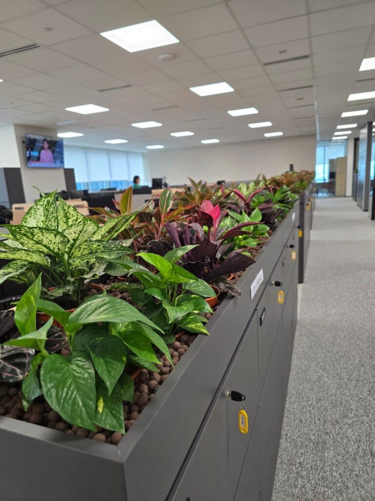IOI Central Office 花箱 02