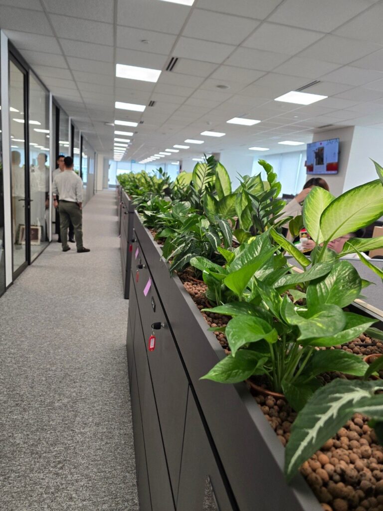 IOI Central Office 花箱 04