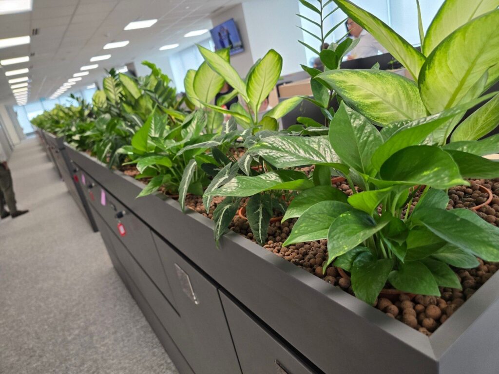 IOI Central Office 花箱
