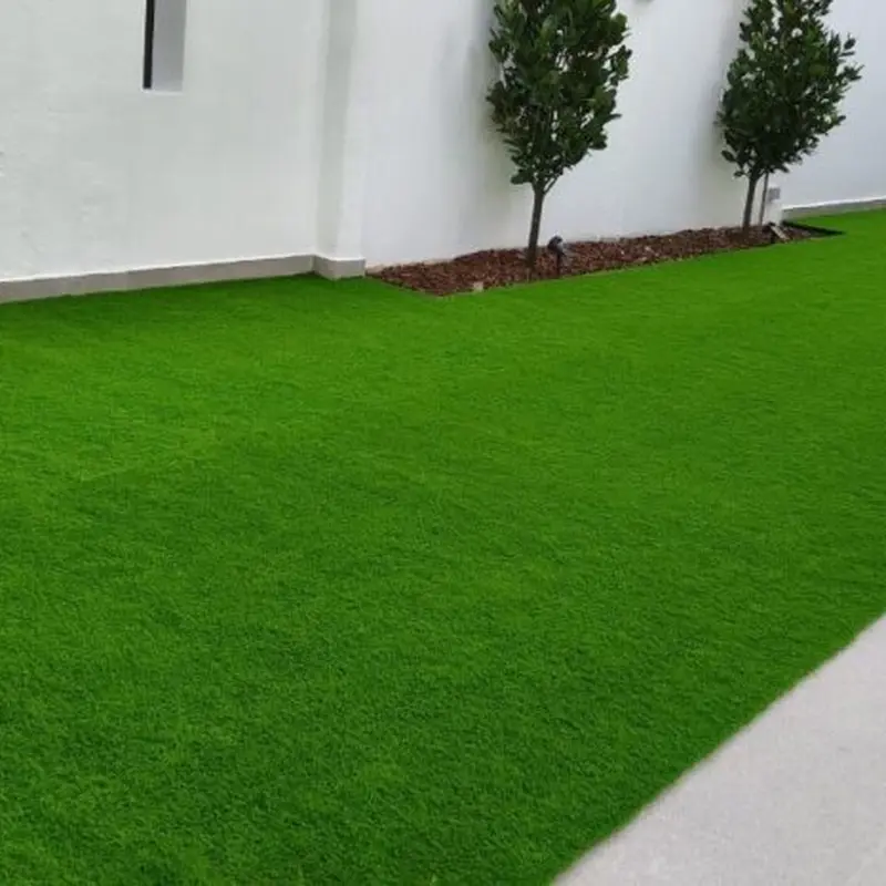 Corporate Plant Rental & Maintenance