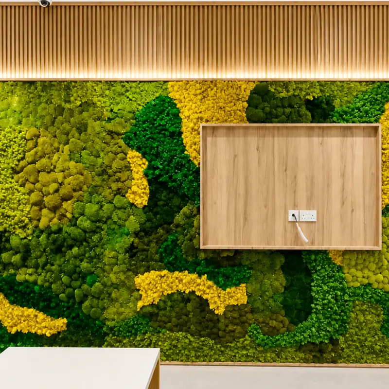 Corporate Plant Rental & Maintenance